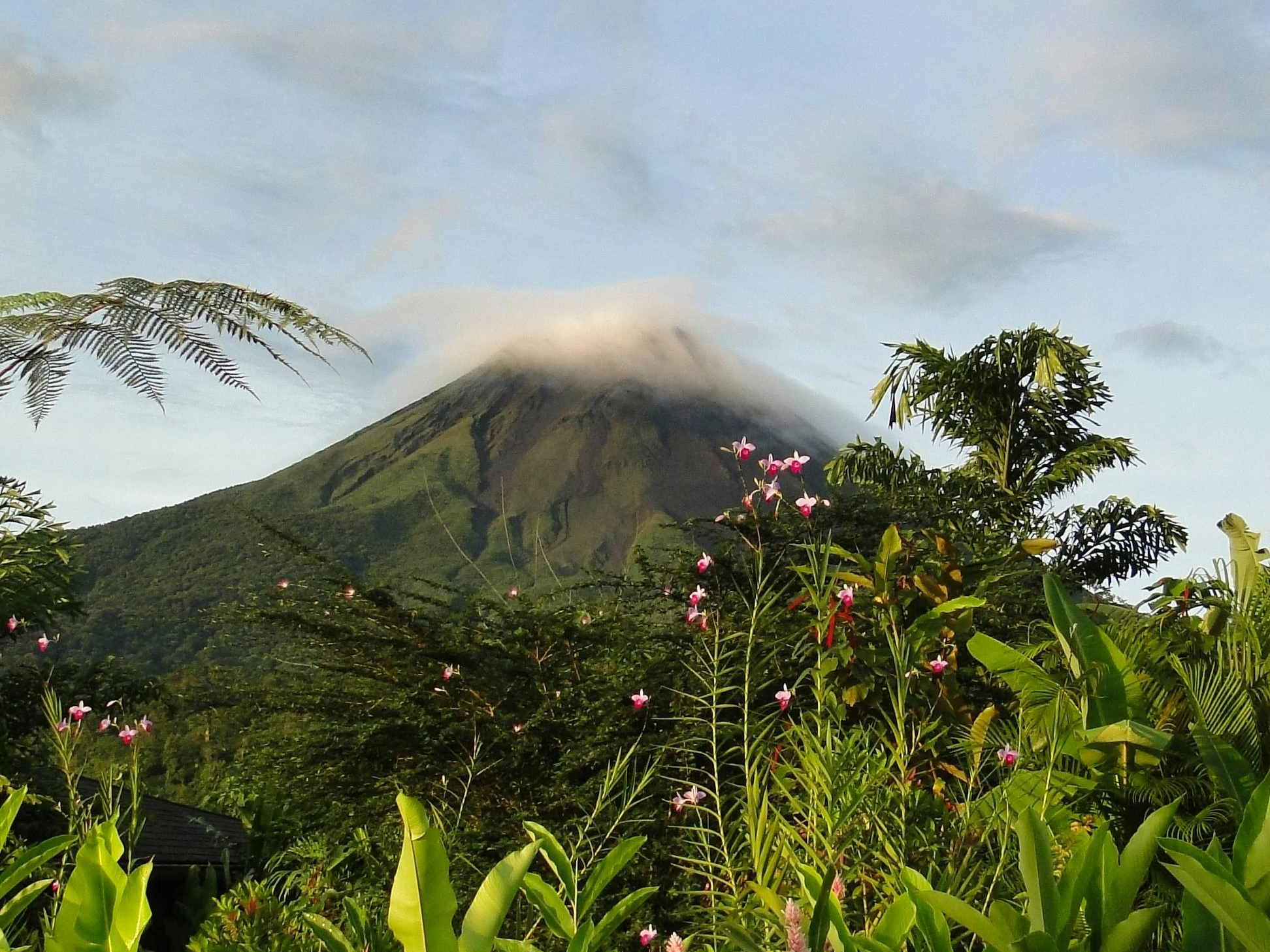 Costa Rica: The Top Destination for Yoga Teacher Trainings and Retreats 